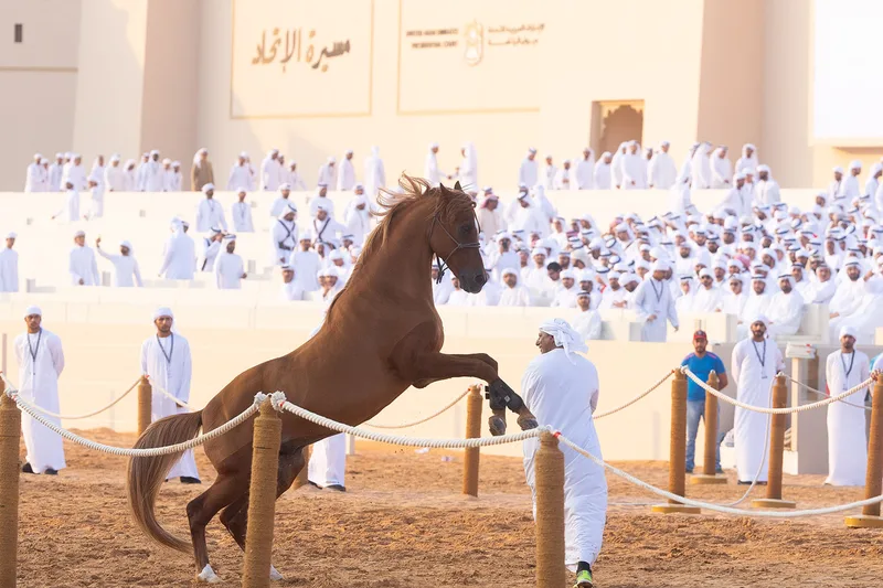 al-wathba-tribal-parade-rearing-horse-performance-2023