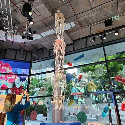 hanging-skeleton-display-interactive-exhibition-uae