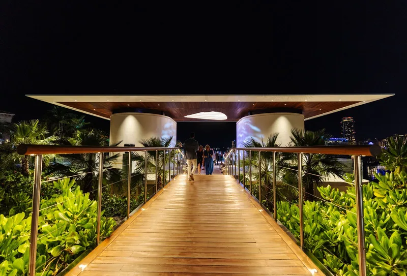 looking-glass-safina-night-walkway-entrance-2024